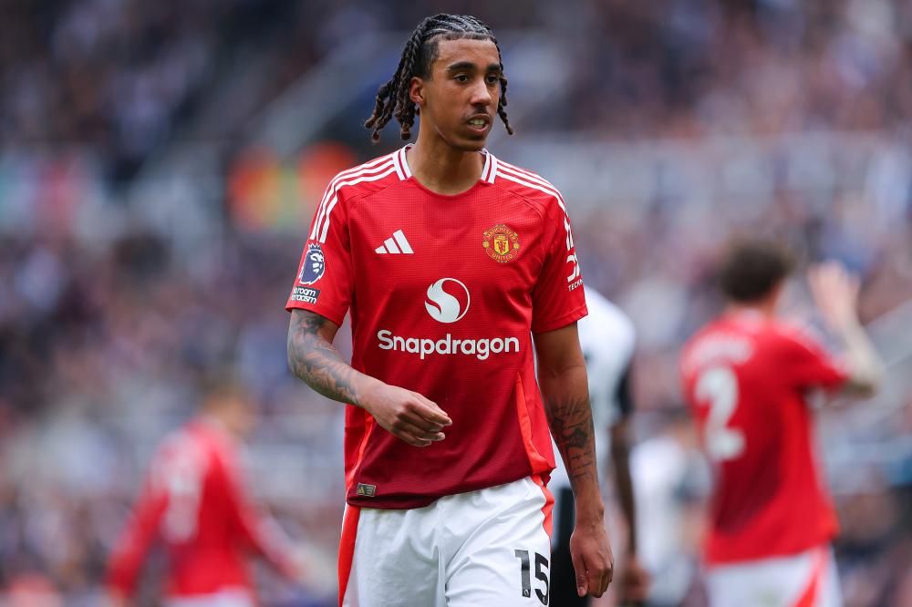 在队徽的中 在队徽的中